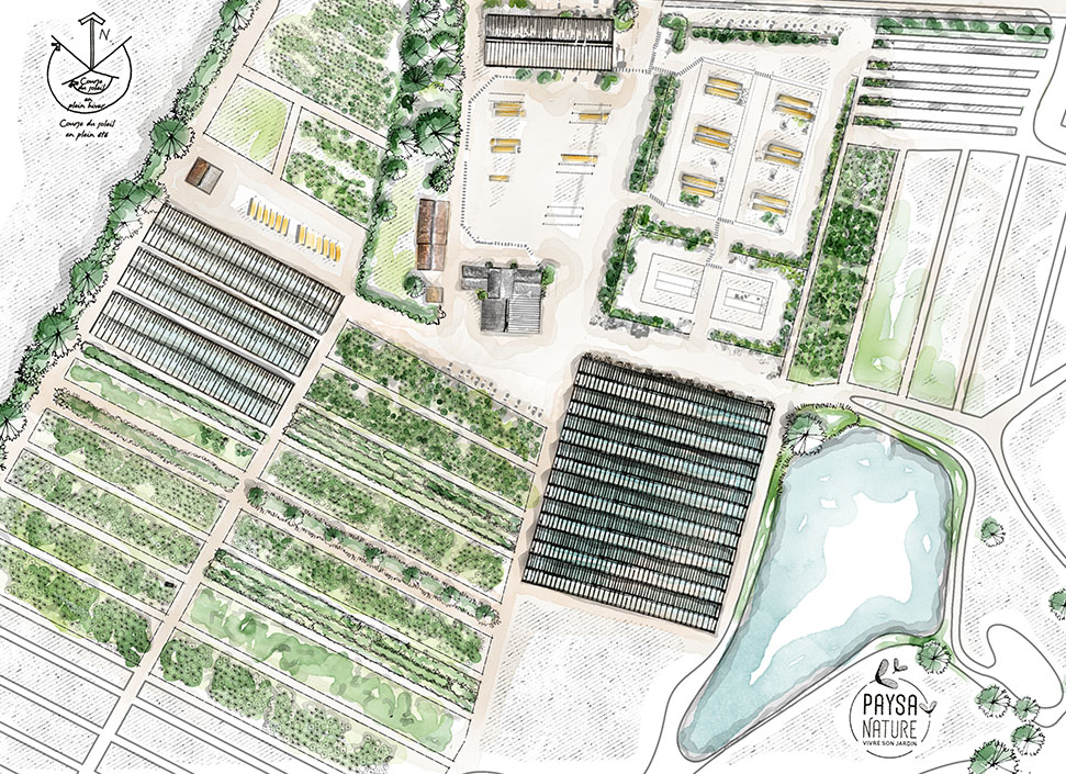 Catalogue pépinières Chauviré - version 2024 2026