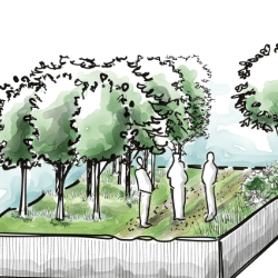 Etapes de préparation de commande-3-Marquage - Pépinières chauviré