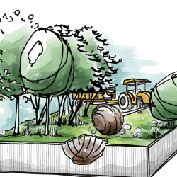 Etapes de préparation de commande-5-Arrachage - Pépinières chauviré